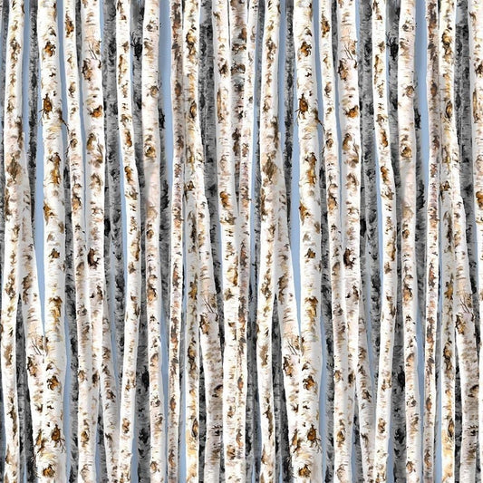 Birch Trees on Blue Sky - Camp Life Collection - 100% Cotton Fabric by Dona Gelsinger for Timeless Treasures - Ships NEXT DAY