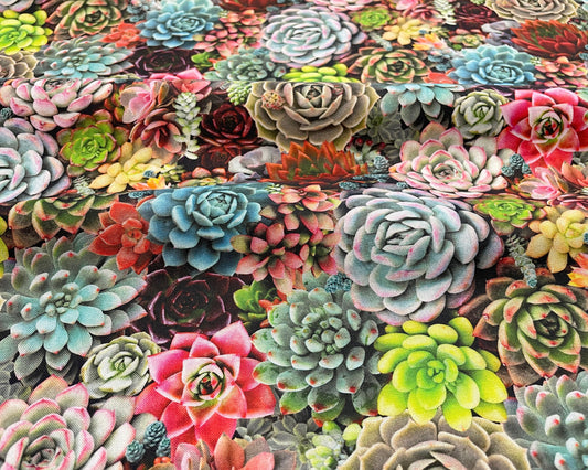 Succulent fabric by the yard - Elizabeth's Studio - 100% cotton - Succulent charm plant fabric plant material houseplants - SHIPS NEXT DAY