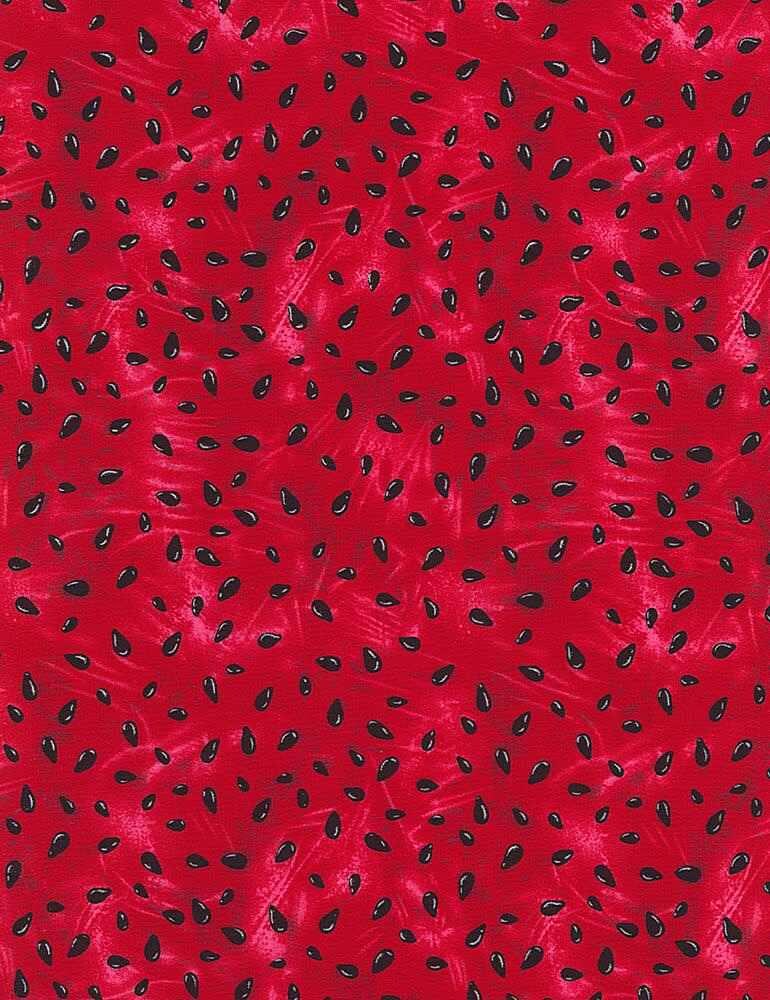 Watermelon Seed Fabric - Summer Picnic - Timeless Treasures - 100% Cotton - Fruit CD1173