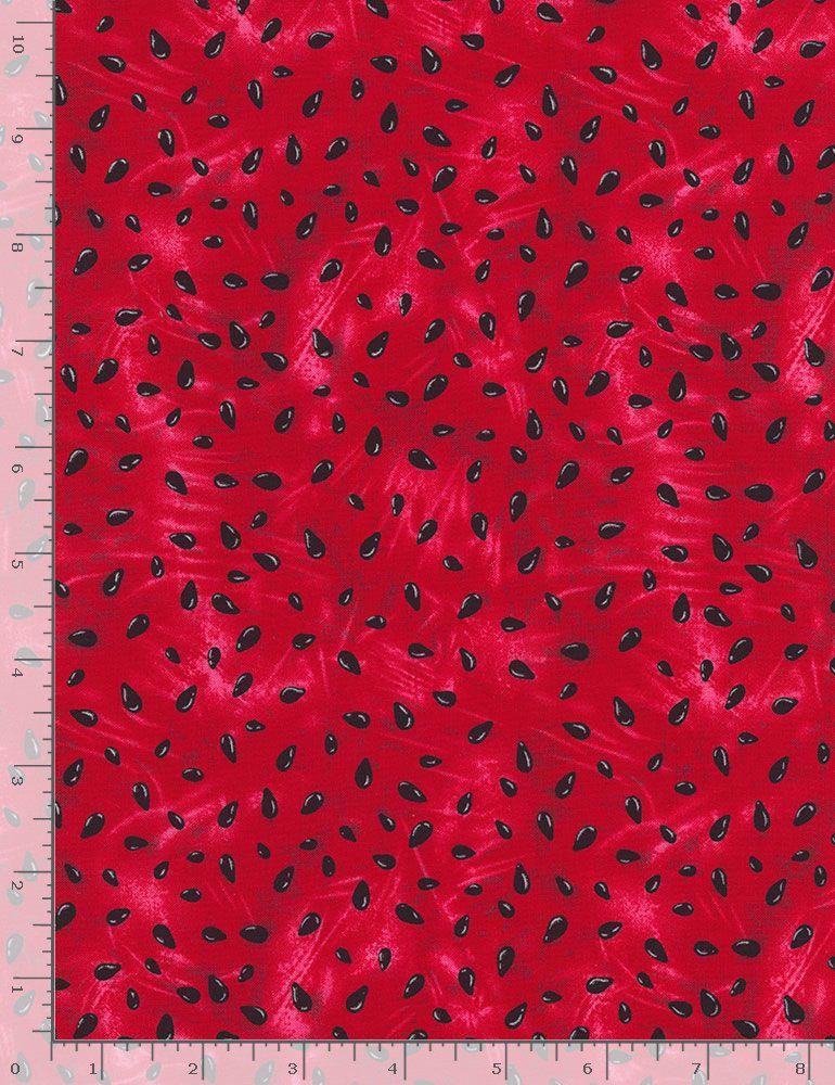 Watermelon Seed Fabric - Summer Picnic - Timeless Treasures - 100% Cotton - Fruit CD1173