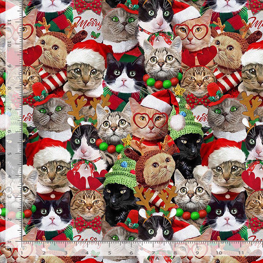 Santa Hat Cats Fabric - 100% cotton - Timeless Treasures - Christmas Holidays - CD3498