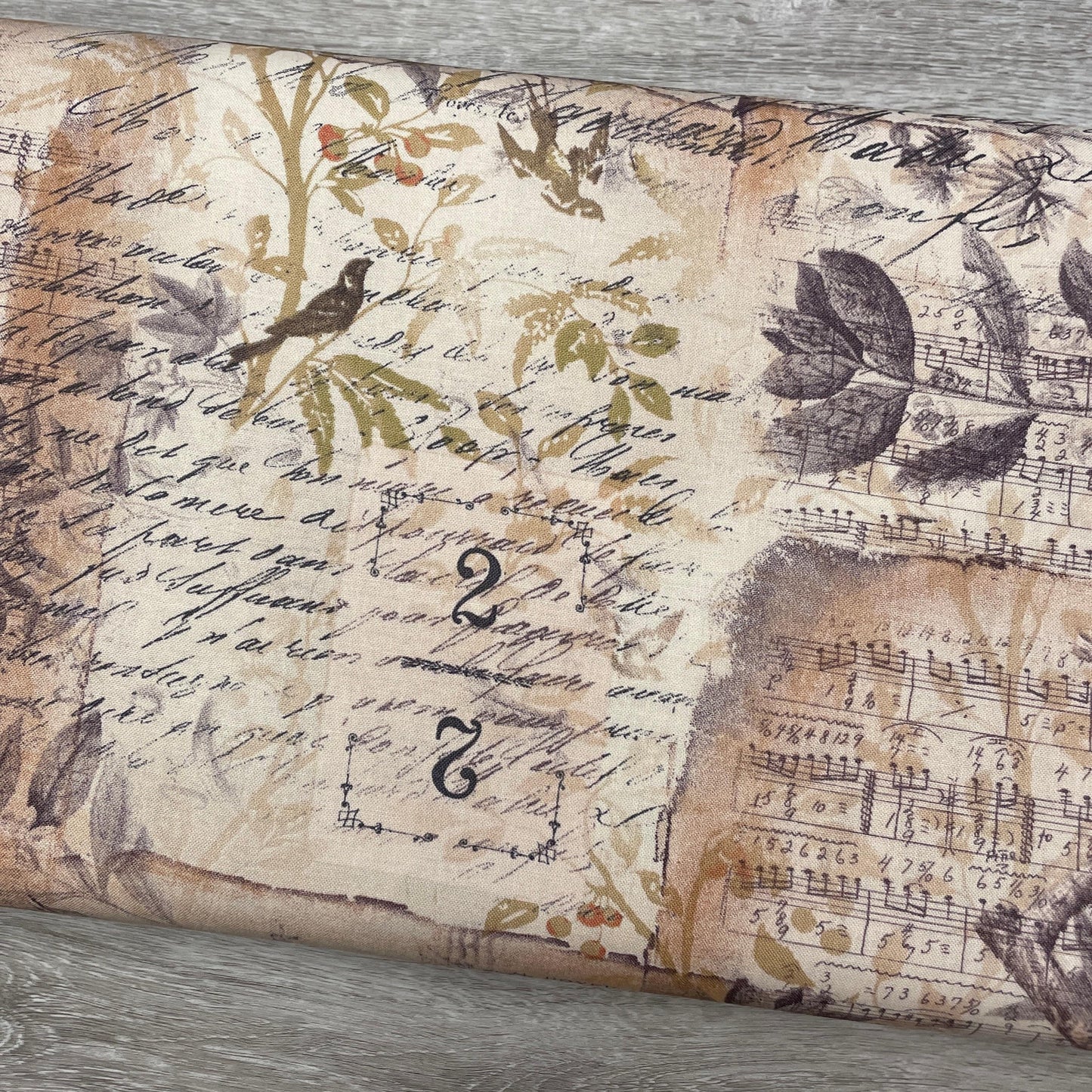 Tim Holtz Egg & Nest - Multi - 100% Cotton Fabric - FreeSpirit - Eclectic Elements - Foundations Collection