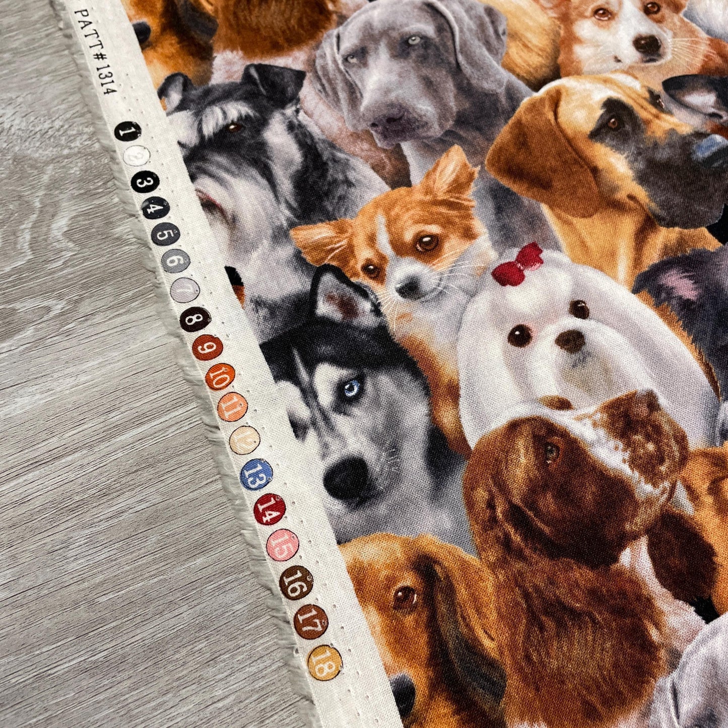 Dog fabric - Dog Breeds All Over - 1314-Black