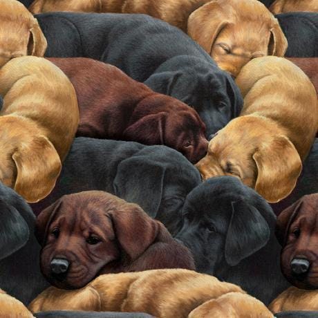 Labrador fabric - QT Fabrics - 100% Cotton - For the Love of Labs - Retriever Dog