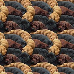 Labrador fabric - QT Fabrics - 100% Cotton - For the Love of Labs - Retriever Dog