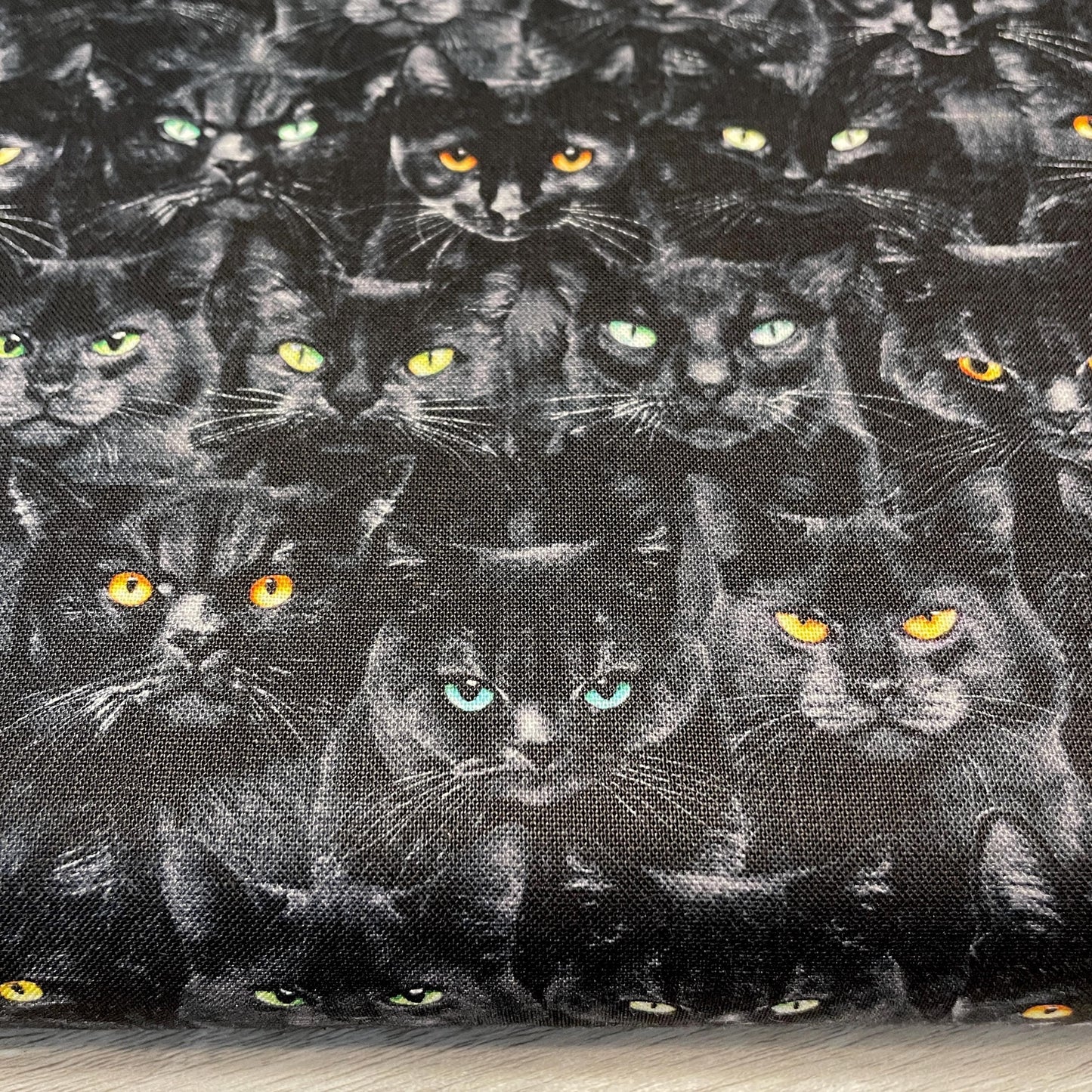 Black Cat Fabric - Wicked Black Cats Magic - Timeless Treasures - 100% Cotton - Mystick Library