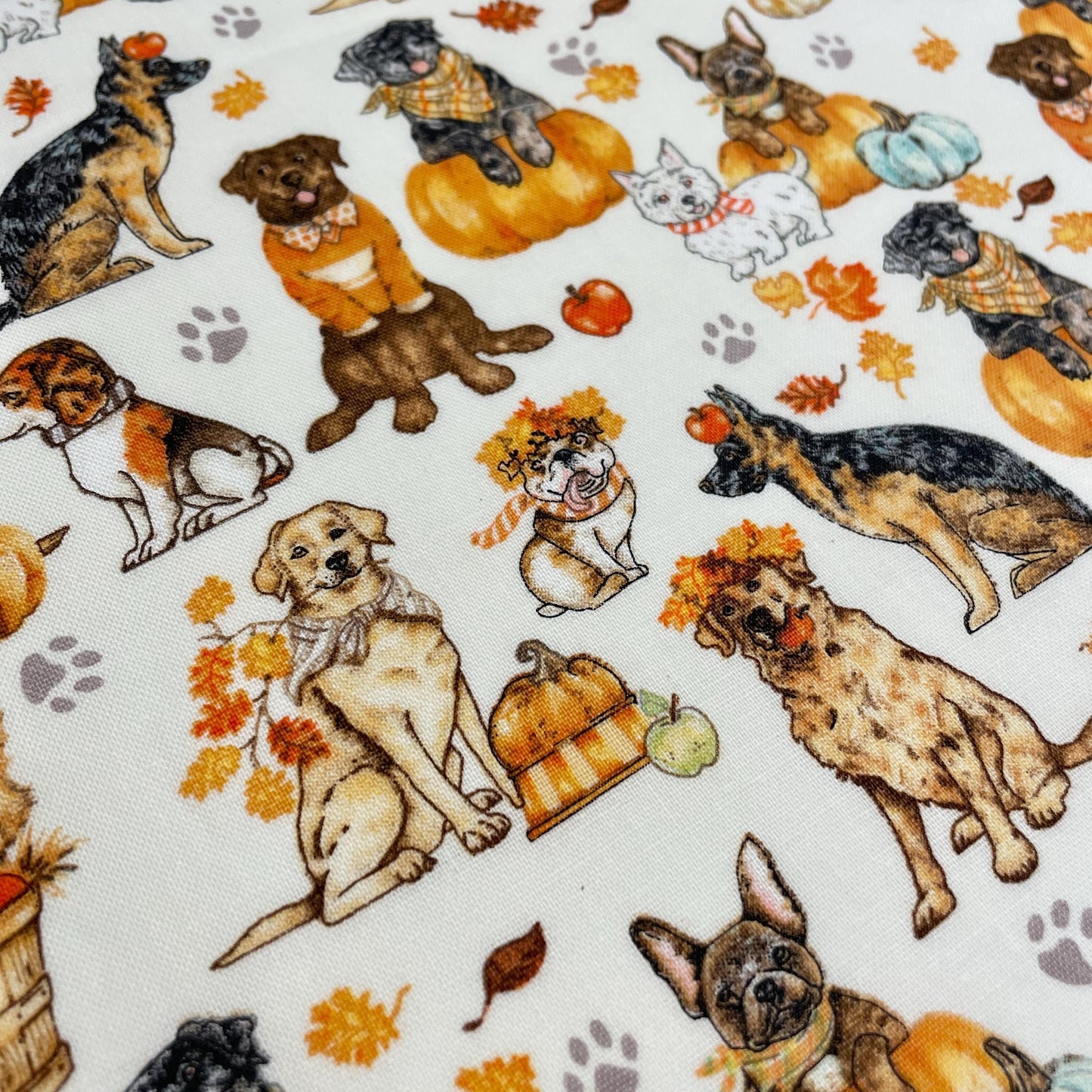 Robert Kaufman Fall Dog Fabric - Autumn Paws - 100% Cotton - Pumpkins