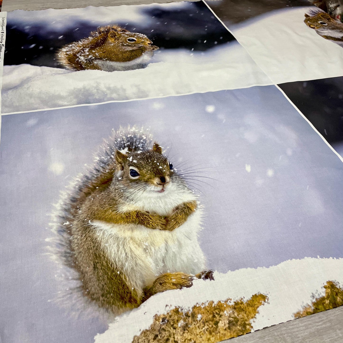 Secret Life of Squirrels II FQ Fabric Panel 36" x 44" - Clothworks - Y4220-116 Mist Gray