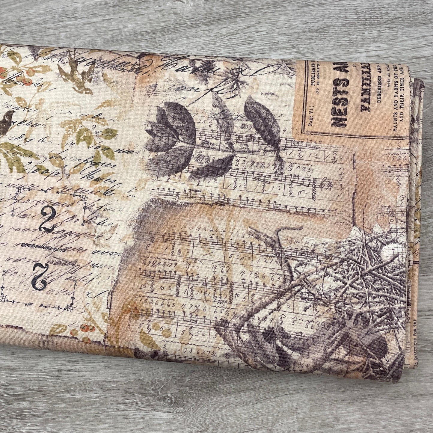 Tim Holtz Egg & Nest - Multi - 100% Cotton Fabric - FreeSpirit - Eclectic Elements - Foundations Collection