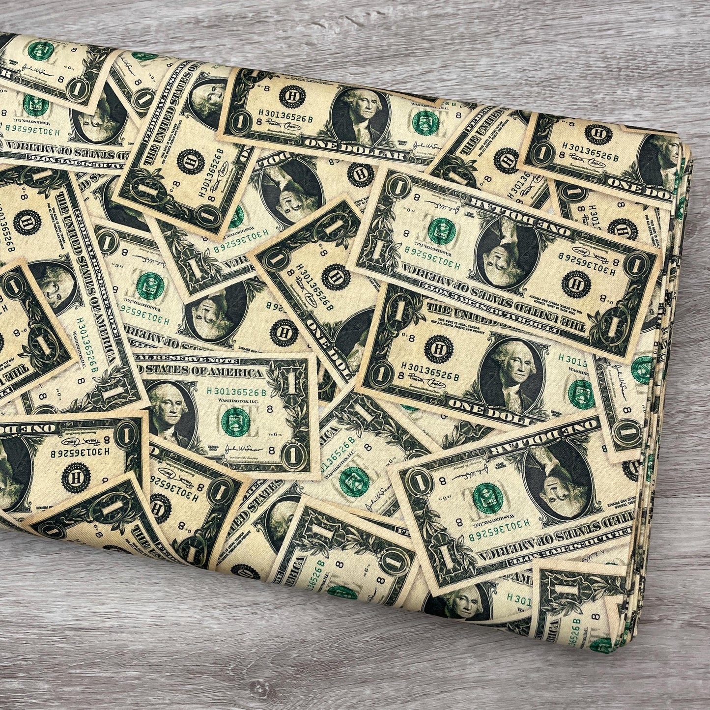 Money Fabric - Dollar Bills