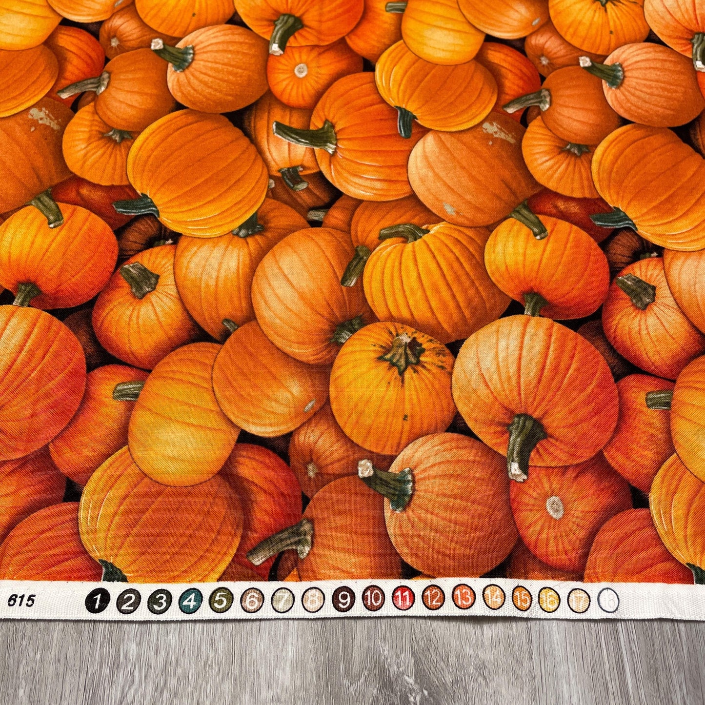 Realistic Pumpkin Fabric - Food Festival - 100% Cotton - Elizabeth's Studio - Fall Halloween Thanksgiving Quilting Cotton