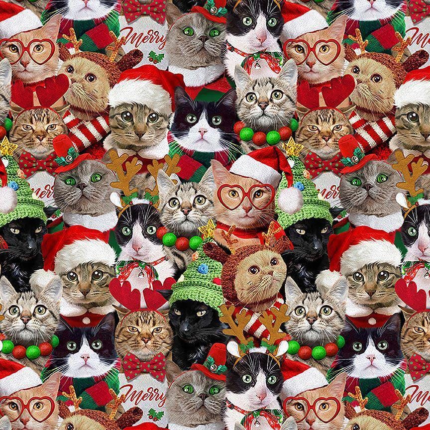 Santa Hat Cats Fabric - 100% cotton - Timeless Treasures - Christmas Holidays - CD3498