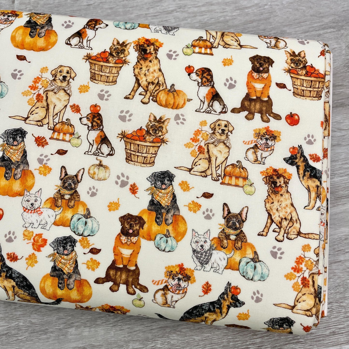 Robert Kaufman Fall Dog Fabric - Autumn Paws - 100% Cotton - Pumpkins