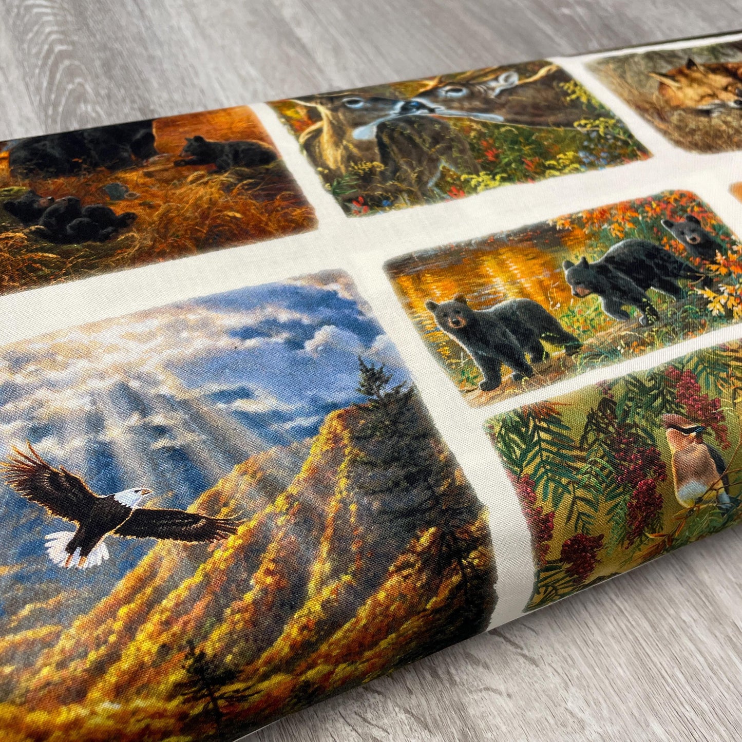 Forest Animal Fabric - Countryside Patch 22200-MLT - 3 Wishes - 100% Cotton Fabric - Whitetail Country - Bear Deer Fox Bird Eagle