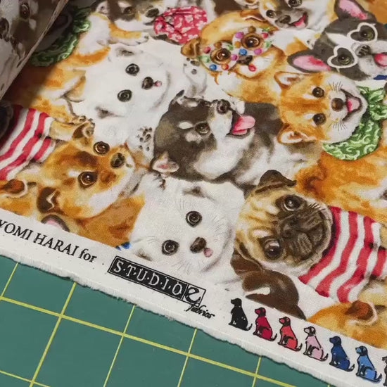 Dog fabric - Dog Fashion - Trendy Pups Collection from Studio E - 100% Cotton - Dog material Shiba Frenchie Pug - Ships NEXT DAY