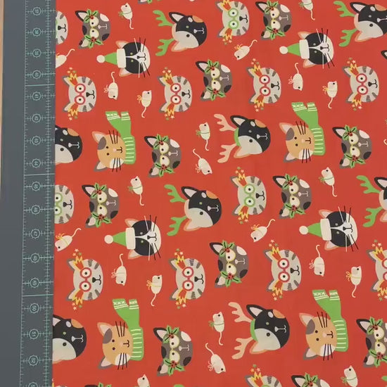 Christmas Cat Fabric - 100% Cotton Quilting Fabric - Cat Masquerade by Paintbrush Studio - Winter cats dressed for holidays - Ships NEXT DAY