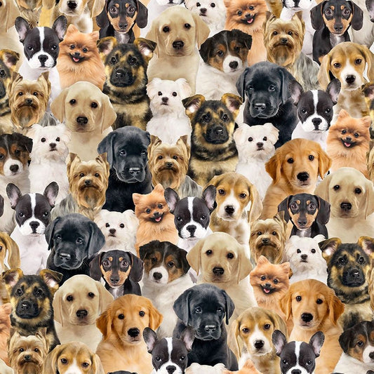 Dog fabric - Packed Realistic Puppies - Timeless Treasures - 100% Cotton Fabric - dog material puppy quilting cotton - Ships NEXT DAY