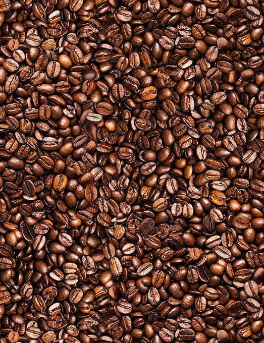 Coffee fabric - Coffee Beans by Timeless Treasures - Espresso Yourself Rise and Grind collection - 100% Cotton Fabric - Ships NEXT DAY