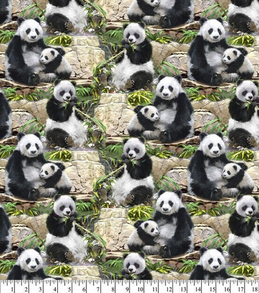 Panda Family Fabric by David Textiles - 100% cotton fabric - baby panda material animal theme fabric bamboo - SHIPS NEXT DAY