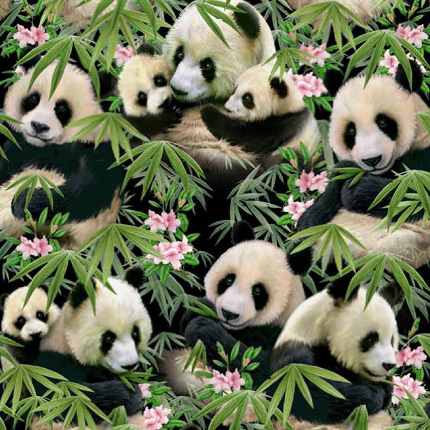 Panda Bear Fabric - 100% cotton - Elizabeth's Studio - baby panda material animal theme fabric bamboo pink flower - SHIPS NEXT DAY