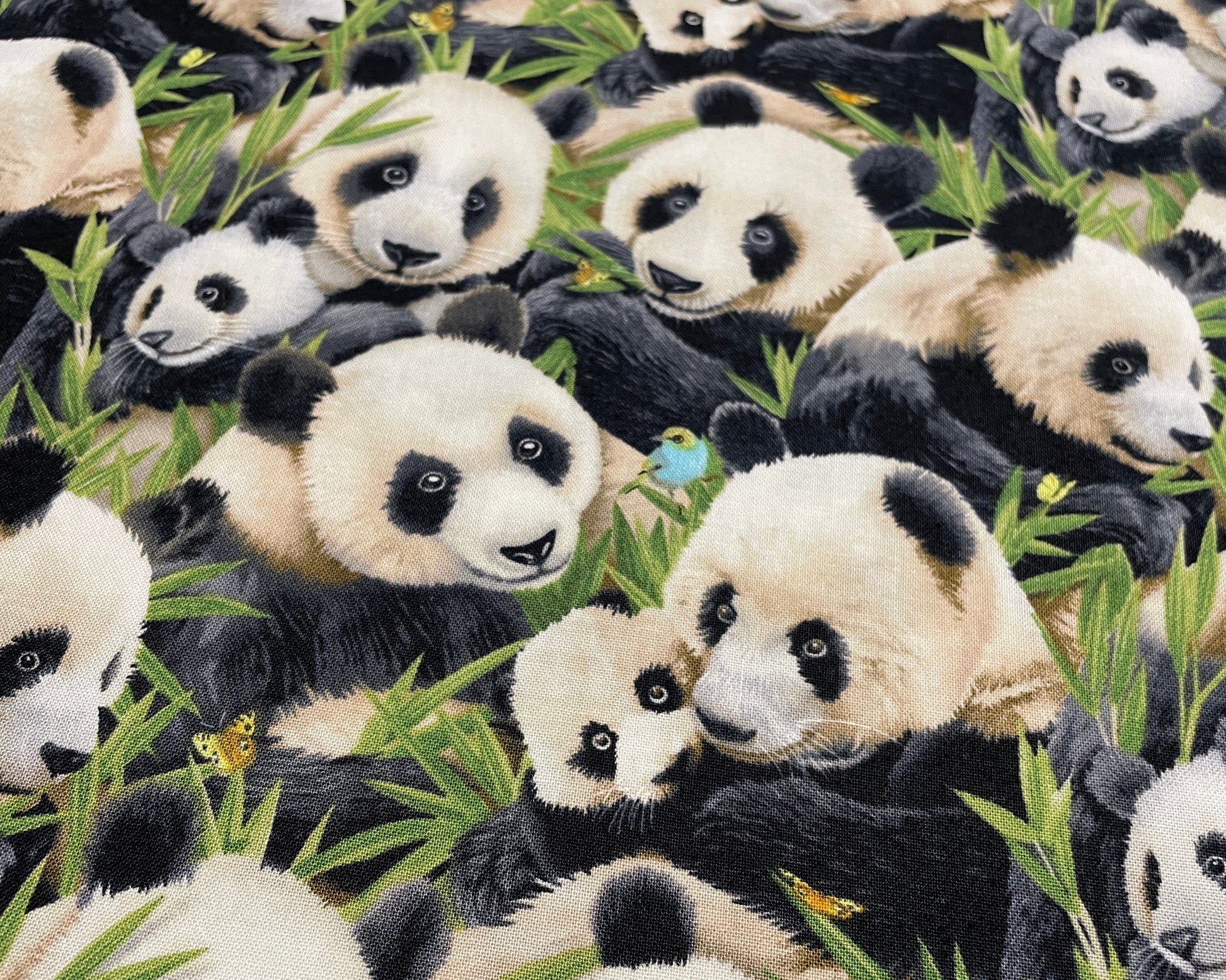Panda Bear Fabric - 100% cotton - Elizabeth's Studio - baby panda material animal theme fabric bamboo butterfly and bird - SHIPS NEXT DAY