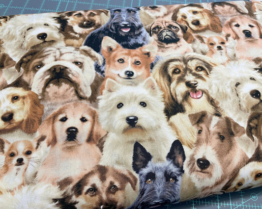 Dog fabric by the yard - Petpourri by Elizabeth's Studio - 100% Cotton - dog print puppy material Pug Bulldog Terrier Corgi - Ships NEXT DAY
