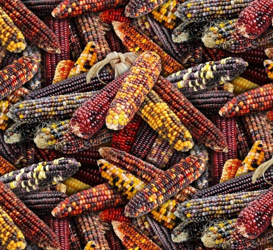 Native Corn Fabric - Food Festival - Elizabeth Studios
