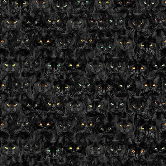 Black Cat Fabric - Wicked Black Cats Magic - Timeless Treasures - 100% Cotton - Mystick Library