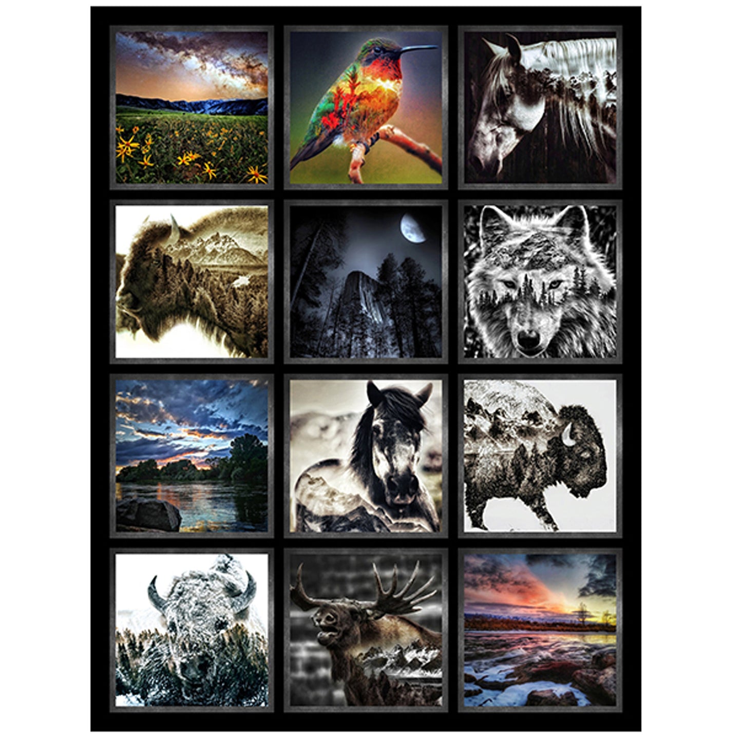 Wild Panel - Hoffman Fabrics - 42 1/4" x 57 3/8”- 100% cotton fabric - animal fabric panels nature wildlife