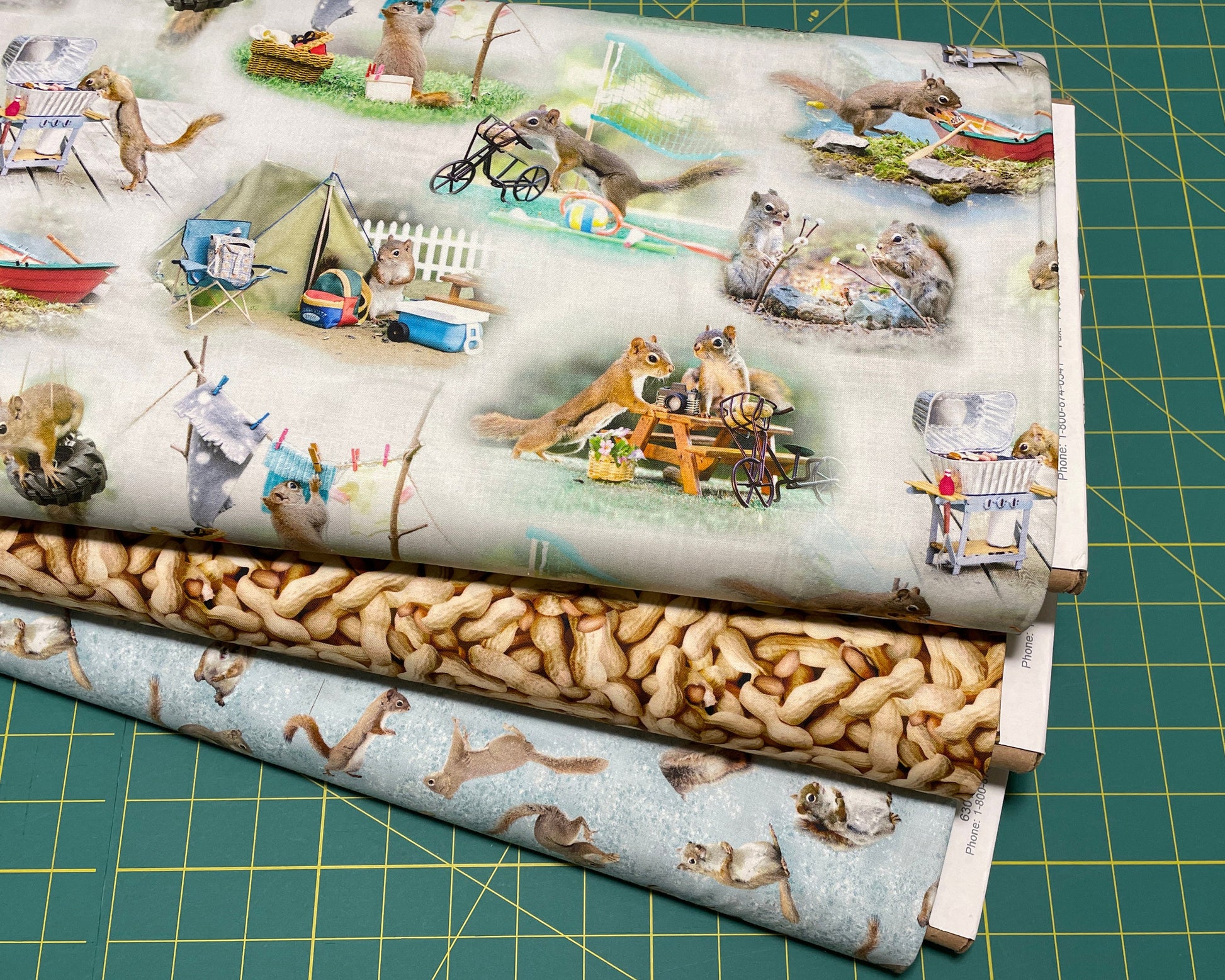 Peanut fabric - NEW - The Secret Life of Squirrels Digital Squirrels by Nancy Rose for Clothworks - Food Fabric by the yard - Ships NEXT DAY