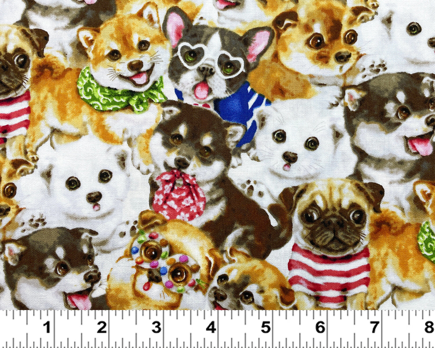 Dog fabric - Dog Fashion - Trendy Pups Collection from Studio E - 100% Cotton - Dog material Shiba Frenchie Pug - Ships NEXT DAY