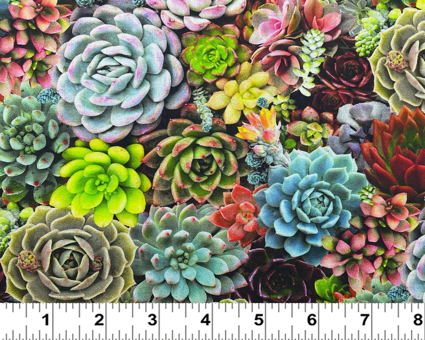 Succulent fabric by the yard - Elizabeth's Studio - 100% cotton - Succulent charm plant fabric plant material houseplants - SHIPS NEXT DAY