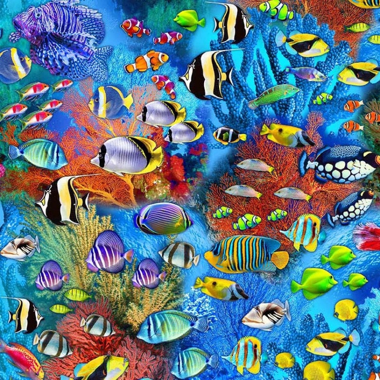 Fish Fabric - Michael Miller - Jewels of the Sea - 100% Cotton - Ocean Fabric Beach Print Sea Life