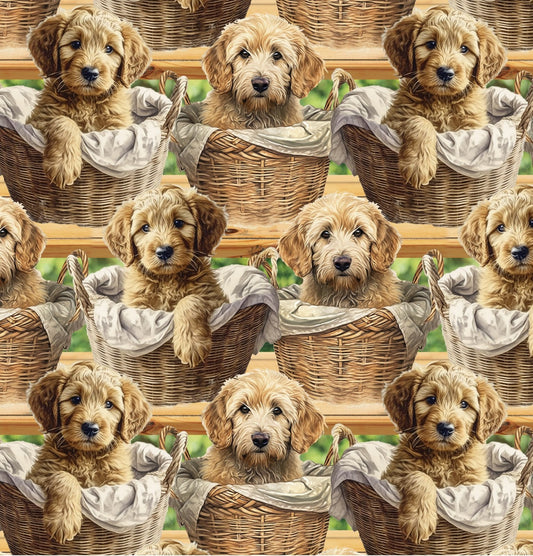 Goldendoodle fabric - Foust Exclusive Print - 100% Cotton - David Textiles - puppy dog in basket