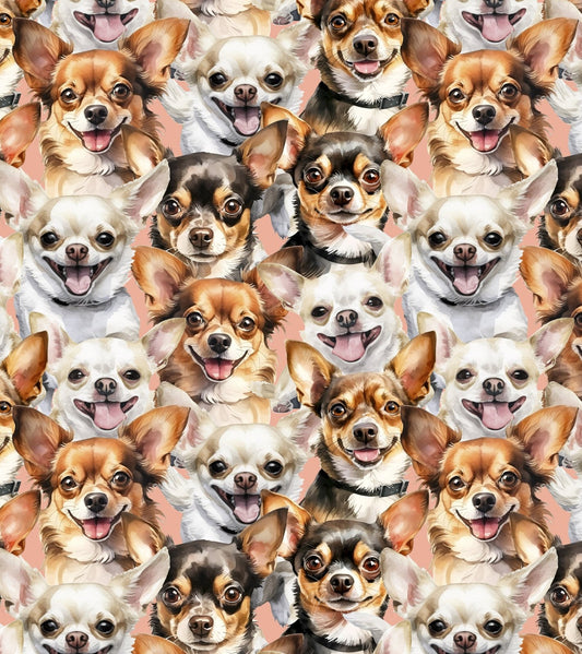 Chihuahua fabric - Foust Exclusive Print - 100% Cotton - David Textiles - Heads 4811