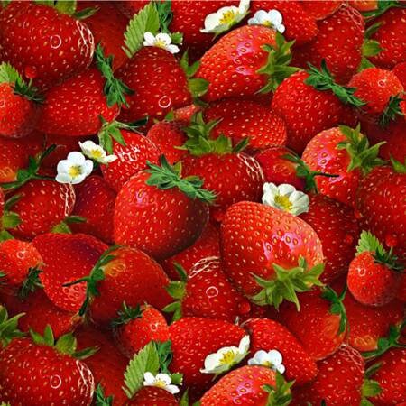 Strawberry Fabric - 100% Cotton - Elizabeth's Studio - Berry Good - Red Fruit Strawberries Food Healthy