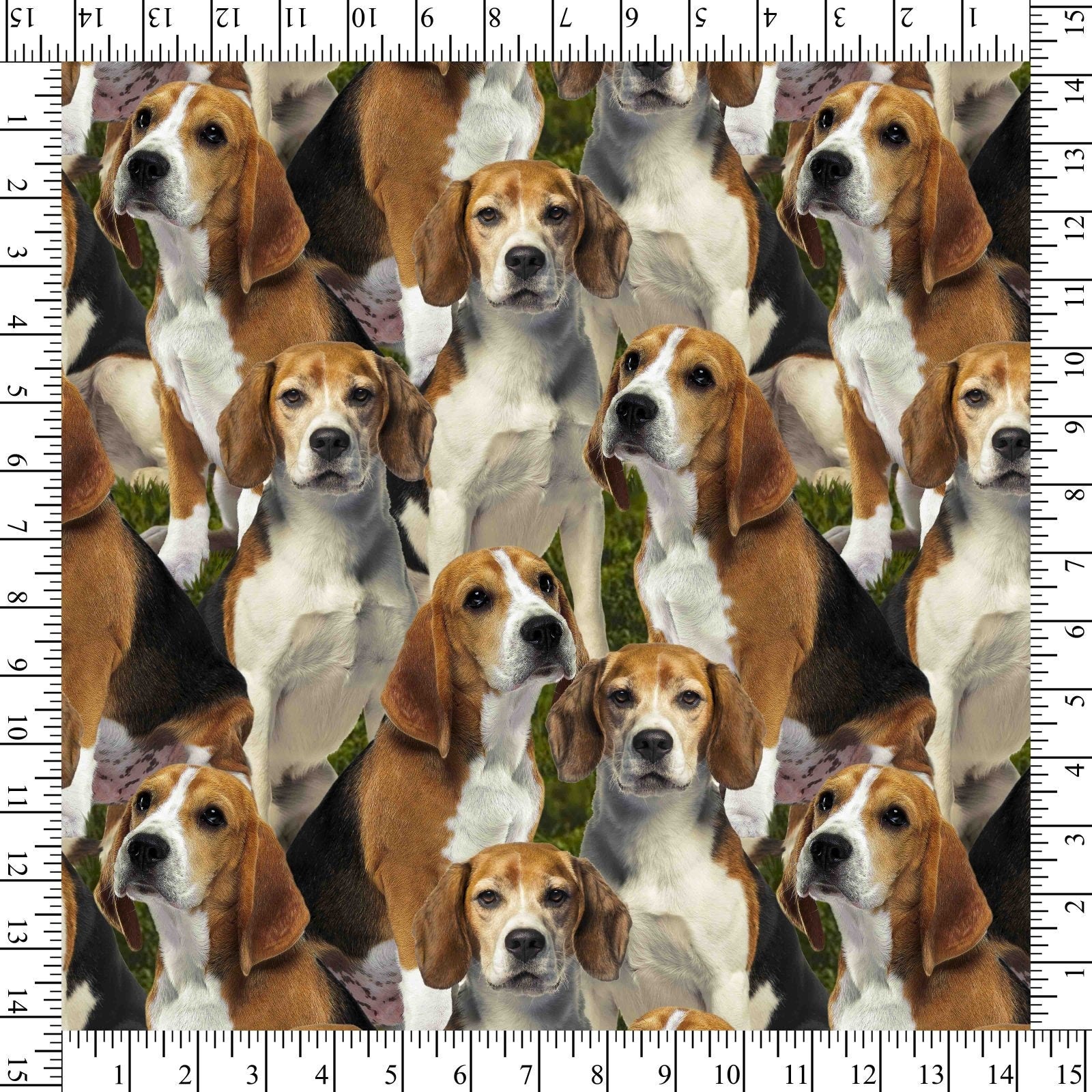 Dog fabric - Beagles - Foust Exclusive Print - 100% Cotton - David Textiles - puppy dogs