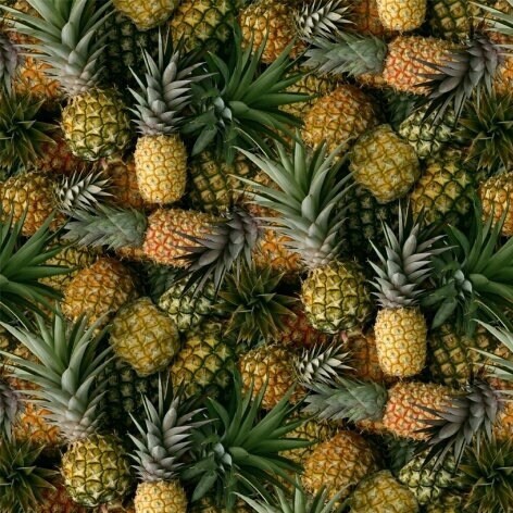 Pineapple Fabric - 100% Cotton - Whistler Studios - A La Carte - Welcome Committee - Fruit Food