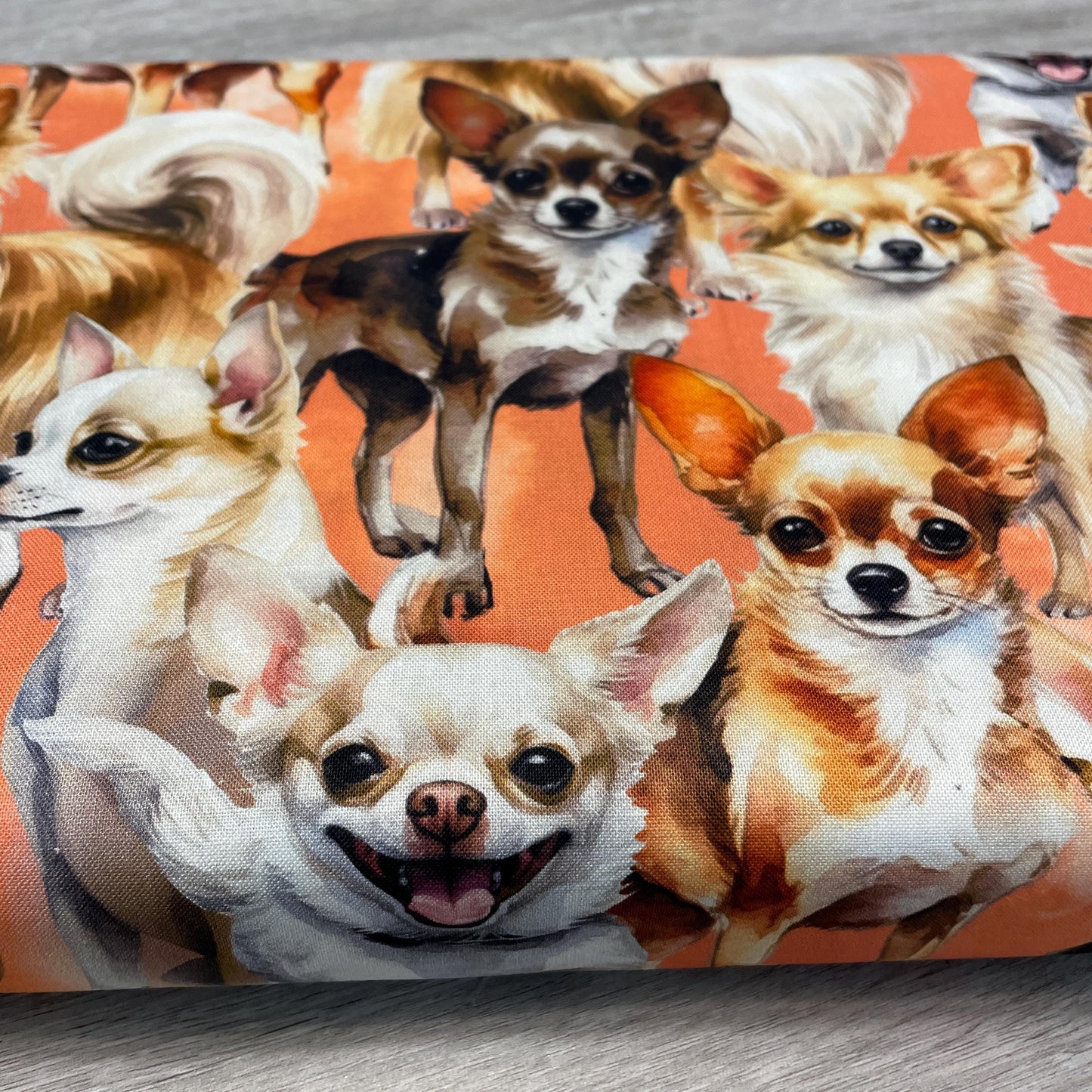 Chihuahua fabric - Foust Exclusive Print - 100% Cotton DX-4819-3C-1 Peach