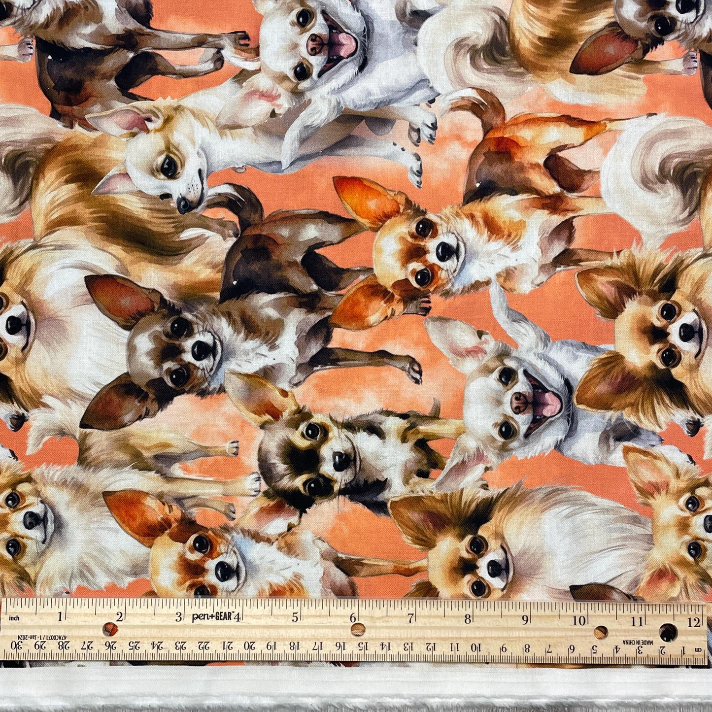 Chihuahua fabric - Foust Exclusive Print - 100% Cotton DX-4819-3C-1 Peach