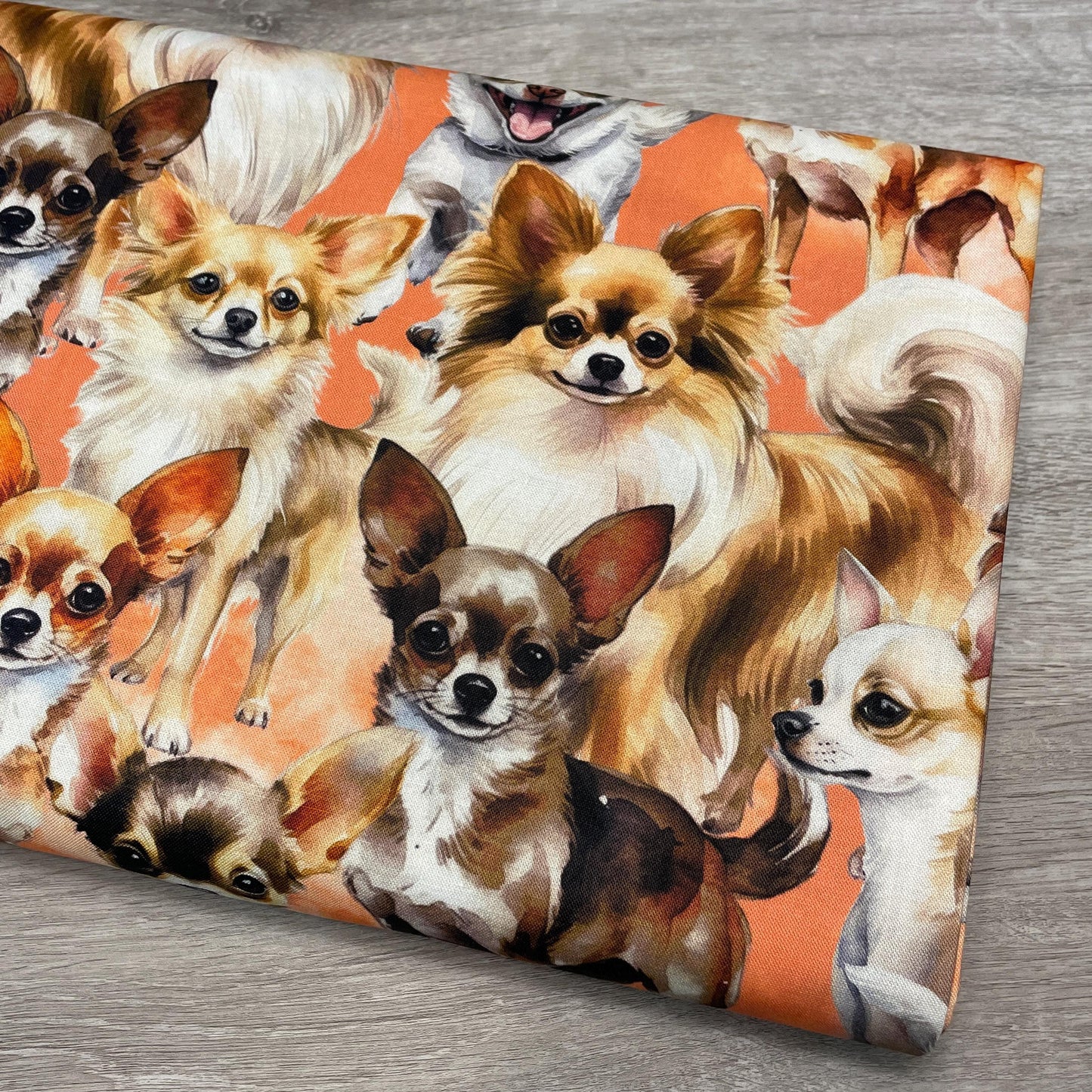 Chihuahua fabric - Foust Exclusive Print - 100% Cotton DX-4819-3C-1 Peach