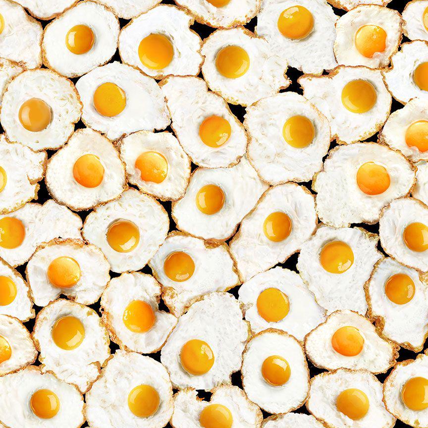 Fried Egg Fabric - Timeless Treasures - 100% Cotton - What's for Breakfast? - Food Sunny Side Up Eggs Chickens