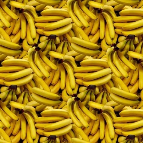 Banana Fabric - 100% Cotton - Whistler Studios - A La Carte Call Me - Fruit Monkey Food