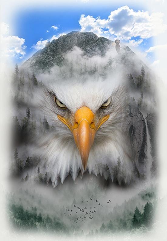 Eagle Fabric Panel - 30" wide x 42" tall - 100% Cotton - Call of the Wild - Hoffman - V5272-483-Fog