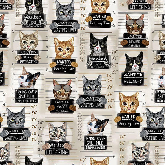 Cat Mugshots Fabric - Timeless Treasures - 100% Cotton - Quirky Cats Collection - Funny Cattitude wanted