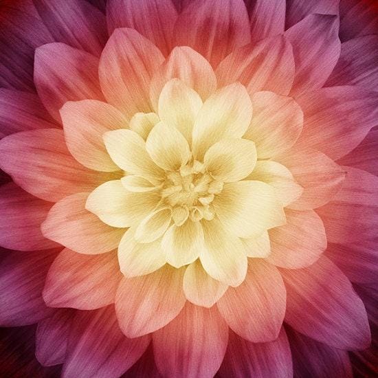 Dream Big Panel "Sugarplum" by Hoffman Fabrics - 43" Square - 100% cotton