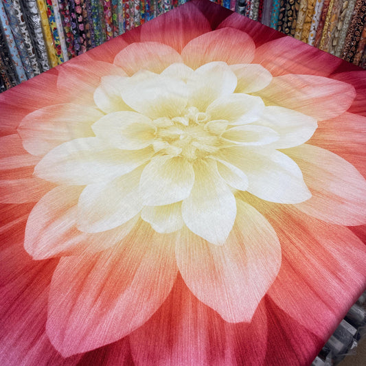 Dream Big Panel "Sugarplum" by Hoffman Fabrics - 43" Square - 100% cotton