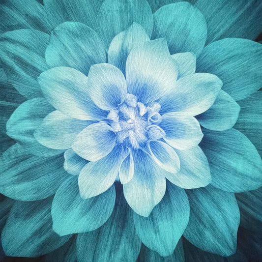 Teal Dream Big Panel - Cotton Fabric - 43" Square