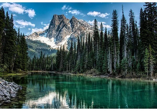Mountain Lake fabric panel - 43 1/4” x 29 1/4” - 100% Cotton - Call of the Wild Hoffman - W5513-D21-Dusty-Teal