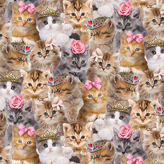 Kitten Fabric - Packed Princess Kitty - Timeless Treasures - 100% Cotton - Cat crown bow